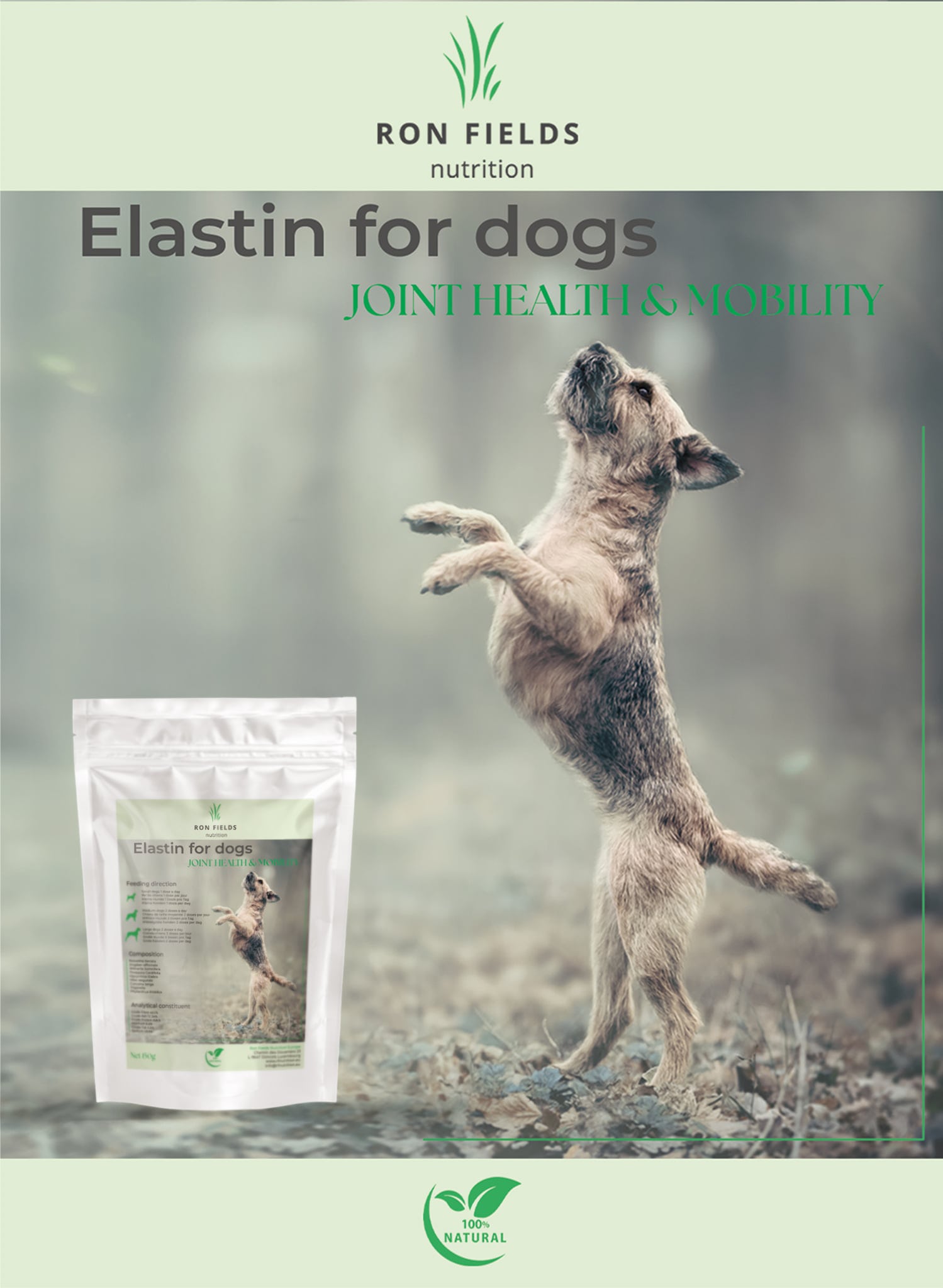 Elastin Ayurvedic joint support supplement for dogs – product packaging