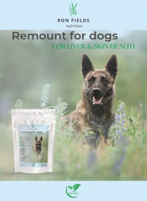 Remount Ayurvedic liver support for dogs &ndash; natural digestion and vitality supplement