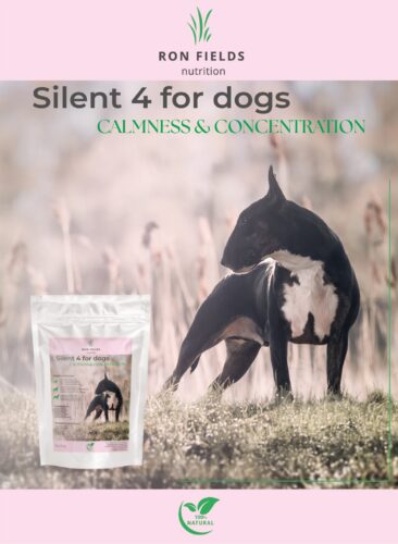 Silent4 Ayurvedic anti-stress supplement for dogs – natural calming support