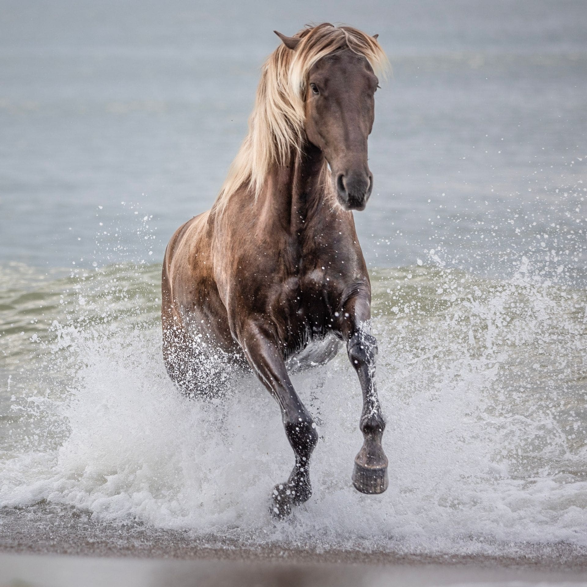 © https://sk-photographie.myportfolio.com