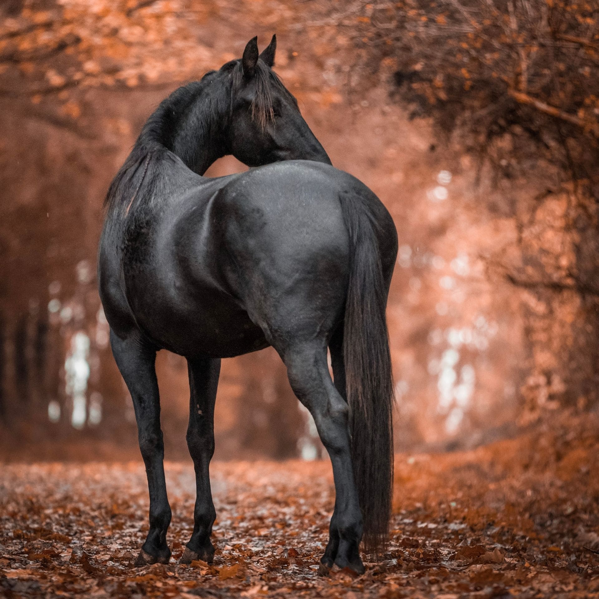 © https://sk-photographie.myportfolio.com