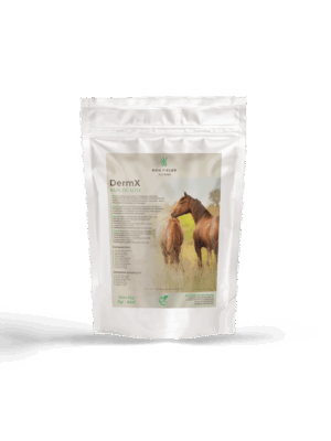 DermX – Natural Skin and Coat Support for Horses