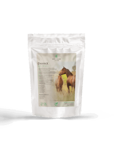 DermX – Natural Skin and Coat Support for Horses