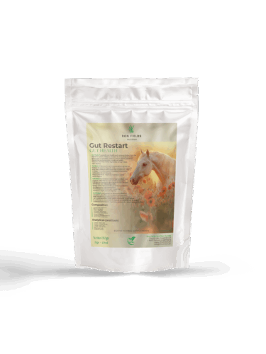 Gut Restart – Natural Digestive Support for Horses