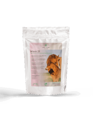 Mare21 – Natural Herbal Support for Mares in Heat