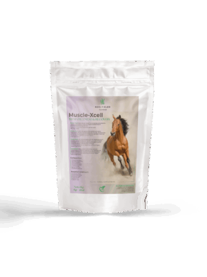 Muscle – XCell – Natural Muscle Support for Horses