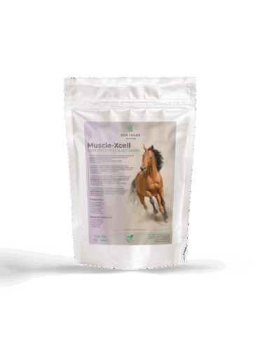 Muscle – XCell – Natural Muscle Support for Horses
