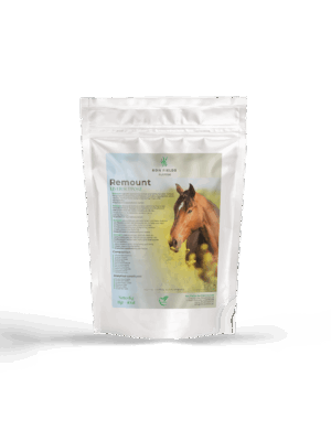 Remount – Natural Liver and Digestion Support for Horses