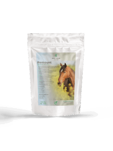 Remount – Natural Liver and Digestion Support for Horses