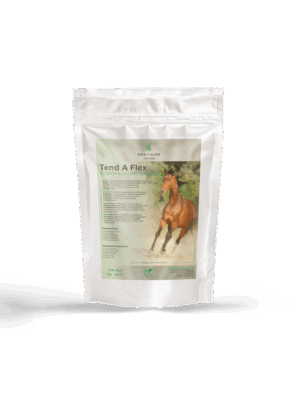 Tend-A-Flex – Ayurvedic Tendon and Ligament Support for Horses