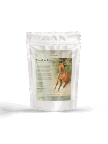 Tend-A-Flex – Ayurvedic Tendon and Ligament Support for Horses