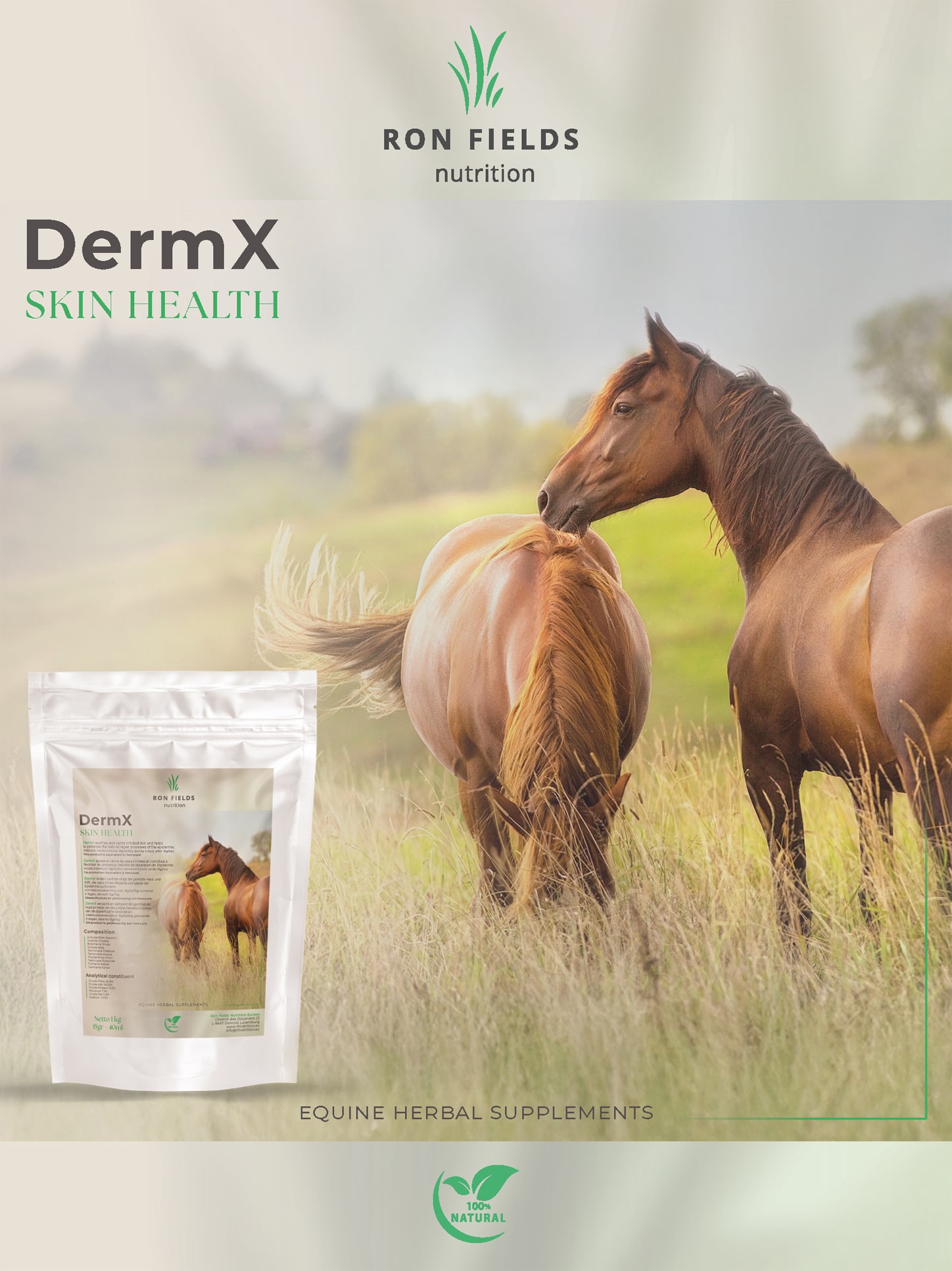 DermX – Natural Skin and Coat Support for Horses - Image 2