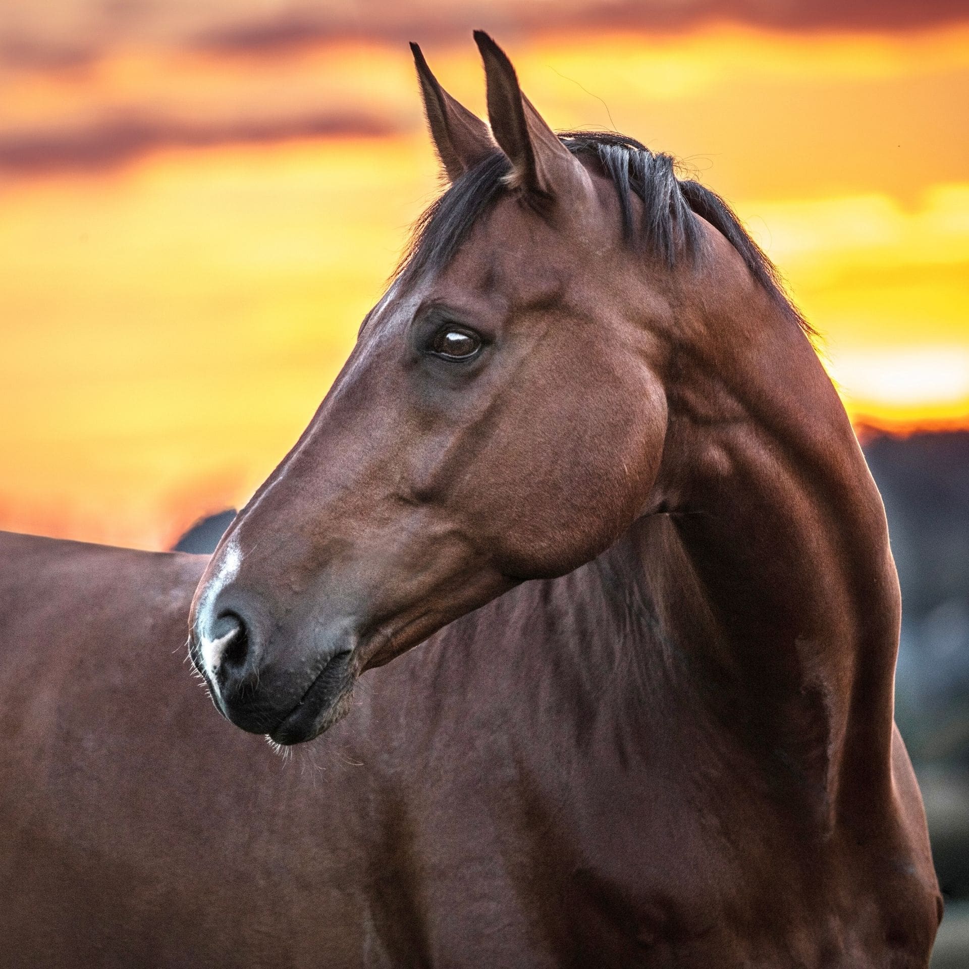 © https://sk-photographie.myportfolio.com