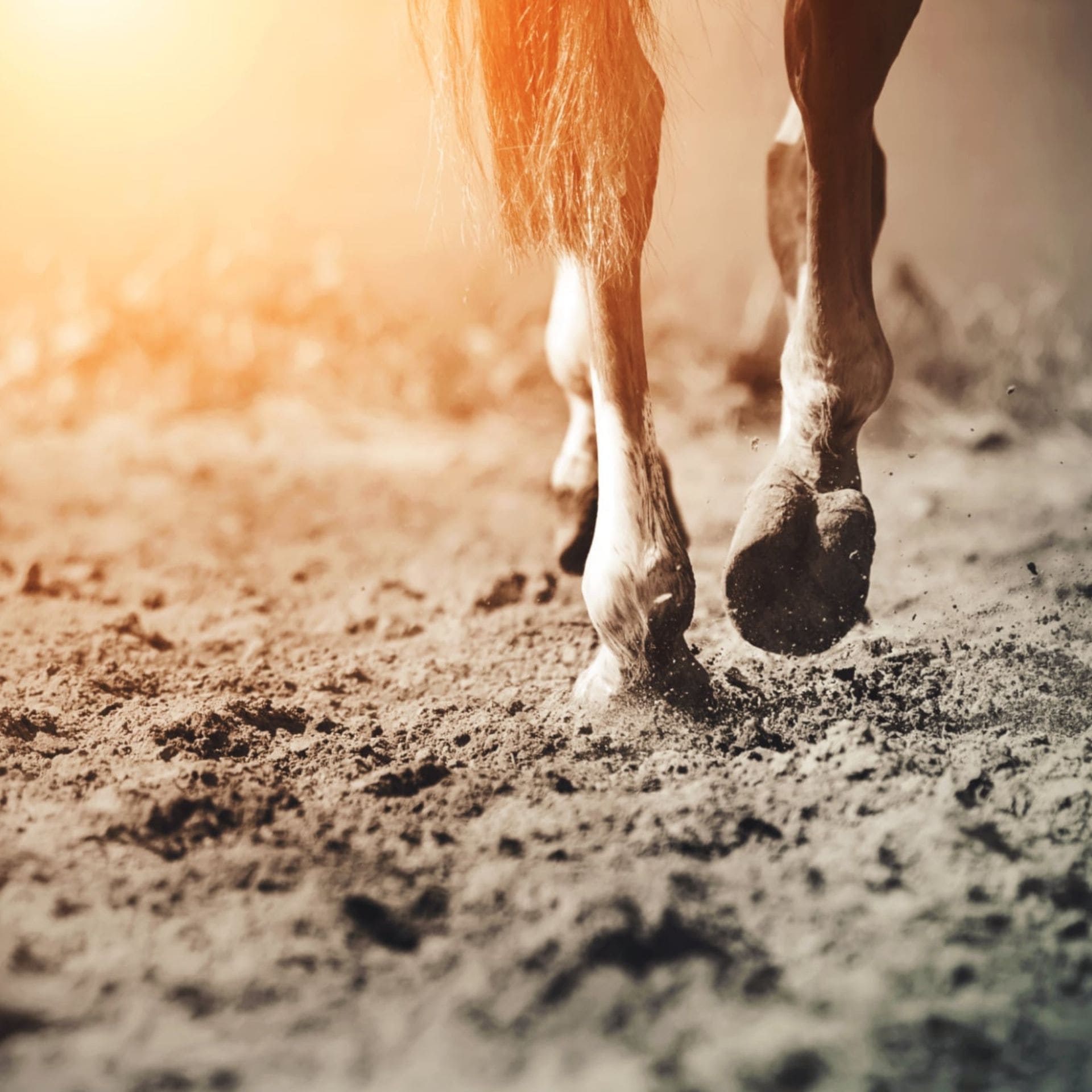 © https://sk-photographie.myportfolio.com